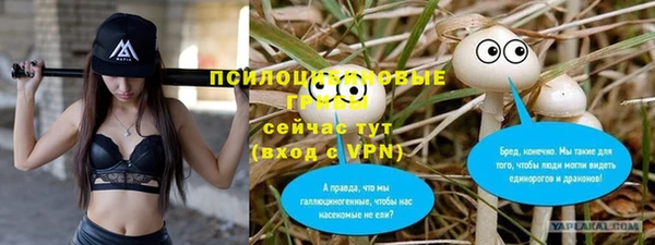 a pvp Беломорск