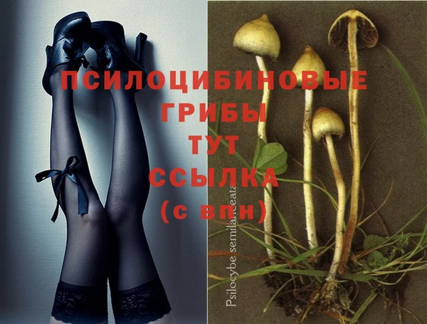 a pvp Беломорск
