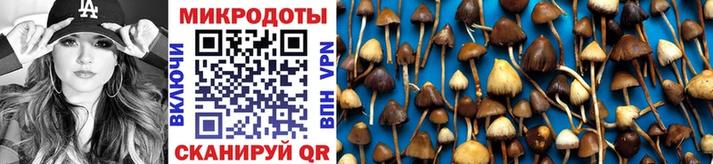 Галлюциногенные грибы Psilocybe где продают Севск